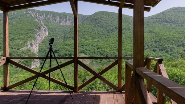 Беспрецедентно увеличилась площадь охраняемых территорий в Грузии