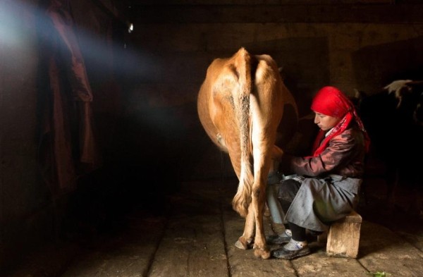 Жизнь высокогорной Аджарии как фотопроект, победивший в конкурсе, поддерживаемом Евросоюзом