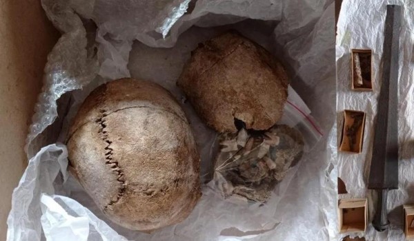 Древнейшее в мире захоронение амазонки обнаружено в Грузии: женщина была похоронена с воинскими почестями и оружием — находка, о которой мало кто знает