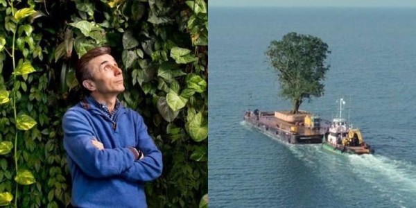 Парламент Кении начинает расследование экспорта баобабов в Грузию