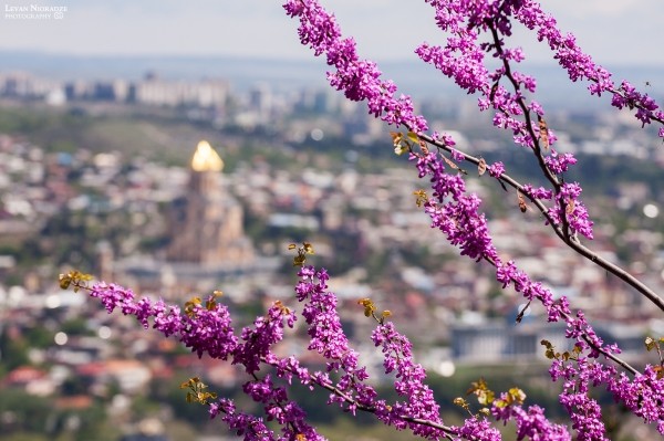 График отключения электроэнергии по Тбилиси в пятницу, 28 апреля График отключения электроэнергии по Тбилиси в пятницу, 28 апреля