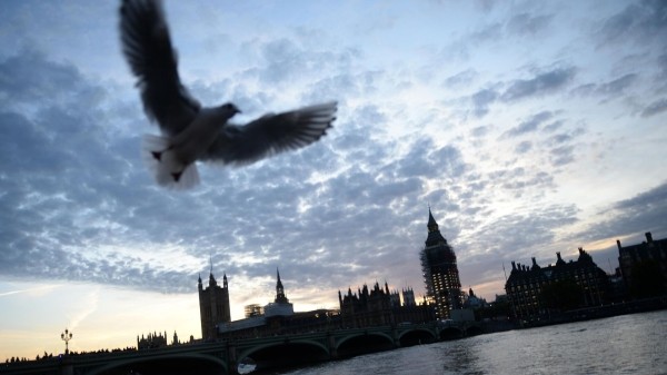 Грузия в девятый раз представит свою литературу на Лондонской книжной ярмарке