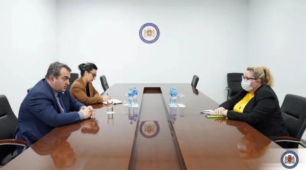 В МИД Грузии состоялась встреча с послом Норвегии в связи с вручением Михаилу Саакашвили награды норвежской оппозиционной партией