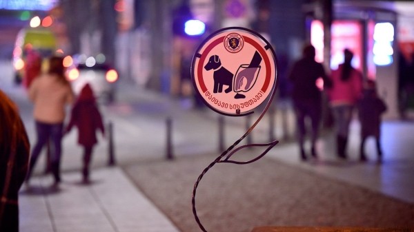 Владельцев собак в Тбилиси учат правильно выгуливать питомцев и следить за ними