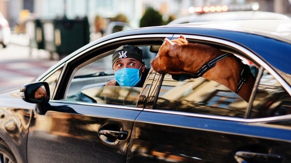 Грузинские водители бьют рекорды по нарушениям – главные цифры Грузинские водители бьют рекорды по нарушениям – главные цифры