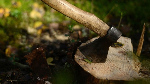 В апреле в Грузии выявили почти 200 фактов незаконной вырубки лесоматериалов В апреле в Грузии выявили почти 200 фактов незаконной вырубки лесоматериалов