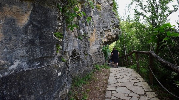 Все больше туристов посещают природные заповедники Грузии Все больше туристов посещают природные заповедники Грузии