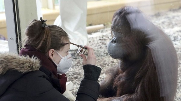 "Это все меняет": ученые нашли коренное отличие человека от животных "Это все меняет": ученые нашли коренное отличие человека от животных