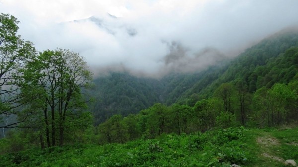 Новая рекреационная зона появится на востоке Грузии Новая рекреационная зона появится на востоке Грузии