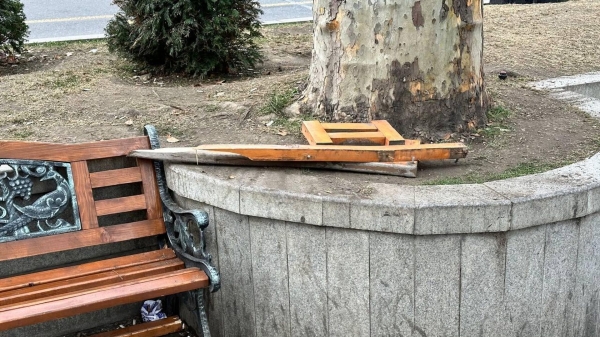 Когда в Грузии начнут штрафовать за вандализм