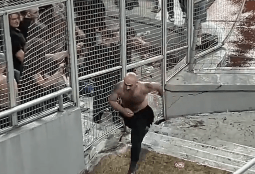 Российский болельщик спровоцировал конфликт на матче “Динамо” Тбилиси – Динамо “Батуми”