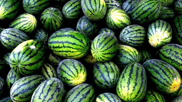 Опасные фрукты – в Тбилиси растут случаи отравления Опасные фрукты – в Тбилиси растут случаи отравления