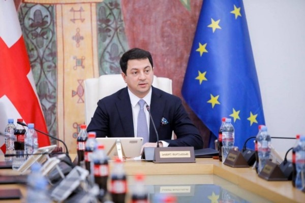 Отсутствие статуса Грузии в ЕС подтолкнуло Россию к отмене визового режима – Талаквадзе