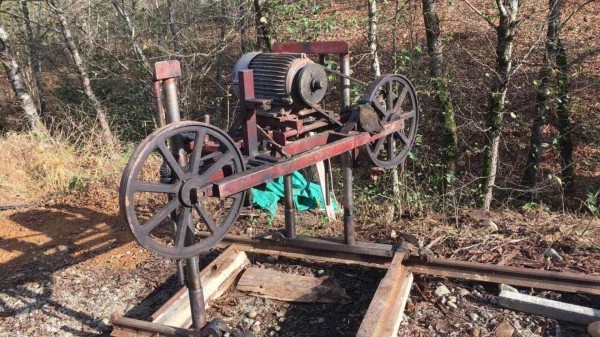 Незаконные лесорубки обнаружили в регионах Грузии