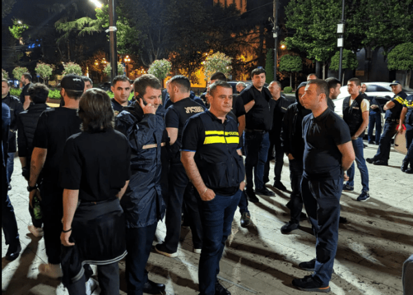 Полицейские в Тбилиси не разрешали стоять на акции у парламента даже с пустыми плакатами