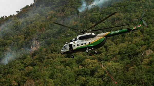 Новые технологии помогут бороться с пожарами в национальном парке в  Боржоми Новые технологии помогут бороться с пожарами в национальном парке в  Боржоми