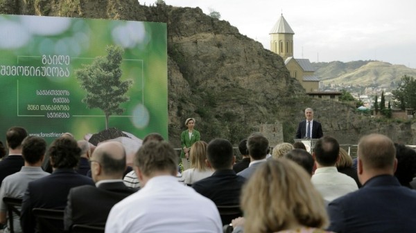 "Друг леса": правительство Грузии призывает подключиться к проекту по спасению природы "Друг леса": правительство Грузии призывает подключиться к проекту по спасению природы