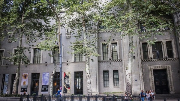 Лорткипанидзе остался на посту директора Национального музея Грузии