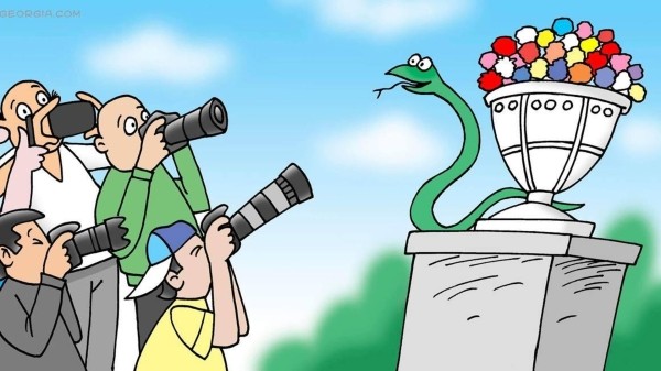 Змеи – фотомодели, или что происходит в Грузии