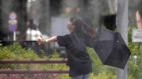 Июль 2023 года может стать самым жарким месяцем в мировой истории