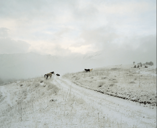81-летний врач из Тушети попал в объектив The Guardian