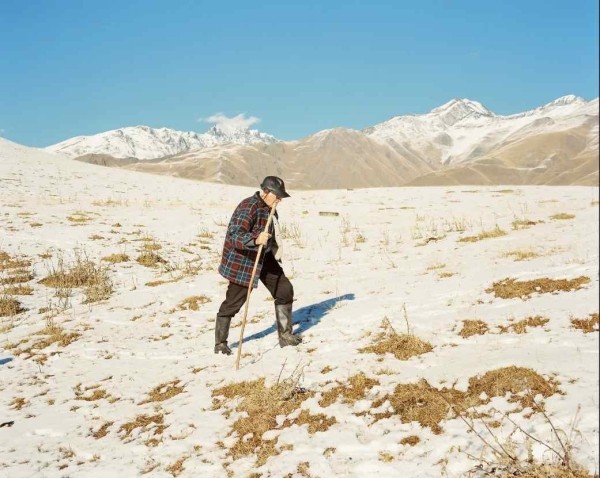 81-летний врач из Тушети попал в объектив The Guardian