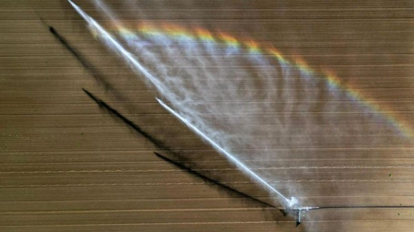 Жаркий июнь 2023 года и мир перед с новыми вызовами - в 13 странах Европы появились комары-переносчики лихорадки денге и вируса Чикунгунья