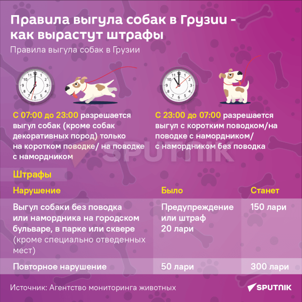 Правила выгула собак в Грузии – на сколько вырастут штрафы Правила выгула собак в Грузии – на сколько вырастут штрафы