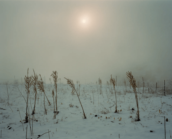 81-летний врач из Тушети попал в объектив The Guardian