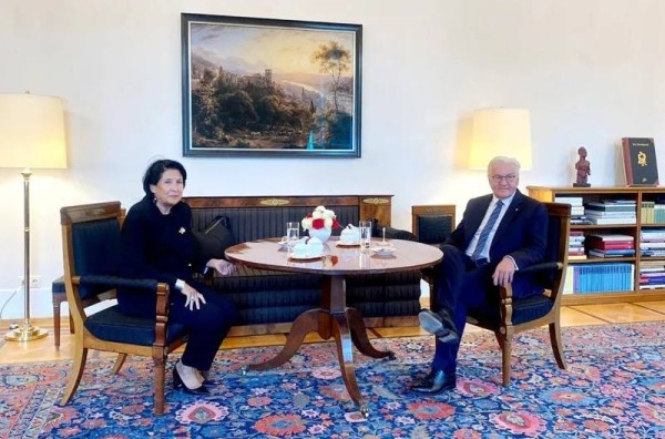 Президент Грузии без разрешения правительства начала визит в Германию Президент Грузии без разрешения правительства начала визит в Германию