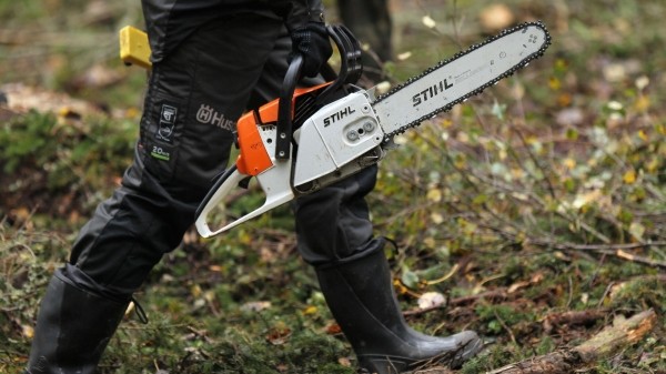 Незаконная вырубка леса в Грузии – антилидирует регион Кахети Незаконная вырубка леса в Грузии – антилидирует регион Кахети