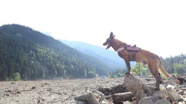 Россиянка погибла во время оползня на курорте Шови в Грузии Россиянка погибла во время оползня на курорте Шови в Грузии