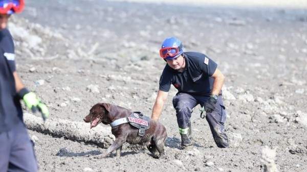 Есть ли угроза эпидемии в зоне оползня в Шови? Есть ли угроза эпидемии в зоне оползня в Шови?