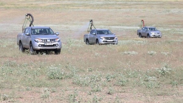 Специалисты контролируют ситуацию с распространением саранчи в Грузии