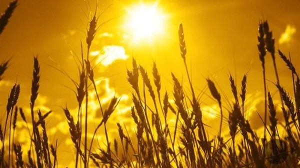 В Грузии ожидается тепловая волна - «Высокие температуры являются благоприятными условиями для активизации процессов, связанных с лесными пожарами и таянием ледников» В Грузии ожидается тепловая волна - «Высокие температуры являются благоприятными условиями для активизации процессов, связанных с лесными пожарами и таянием ледников»