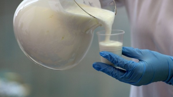 Молоко от коронавируса начали производить в Узбекистане Молоко от коронавируса начали производить в Узбекистане