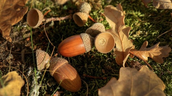 Народные приметы на Евтихиев день 2023: что нельзя делать 6 сентября?