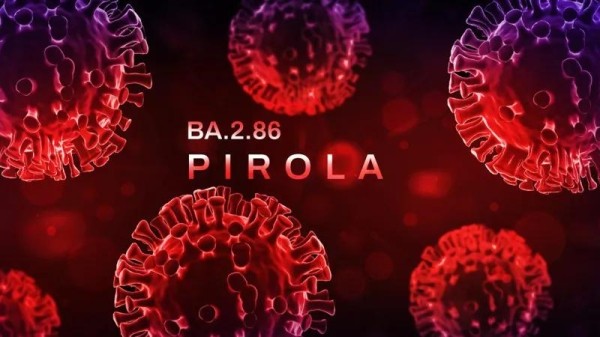 «Пирола»: что известно о новом штамме коронавируса, который зафиксирован в разных странах мира? «Пирола»: что известно о новом штамме коронавируса, который зафиксирован в разных странах мира?