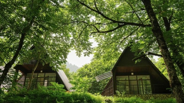 Впервые в Грузии пройдет Международный саммит по охраняемым территориям