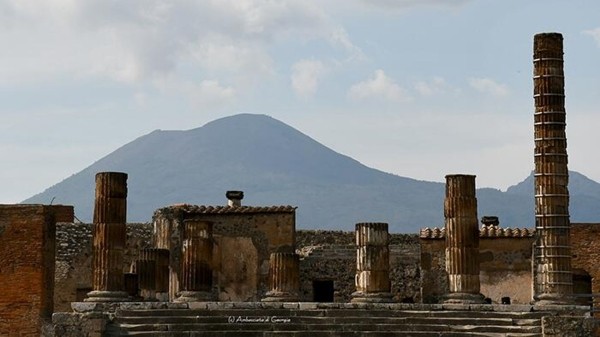 Грузинские сорта винограда будут выращивать в археологическом парке Помпеи