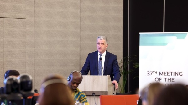 Трагедия в горах Грузии показала важность усиления борьбы с изменением климата – министр Трагедия в горах Грузии показала важность усиления борьбы с изменением климата – министр