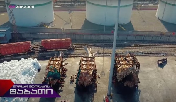 Баобабов в Грузии станет больше: из Кении в порт Поти доплыл ценный груз