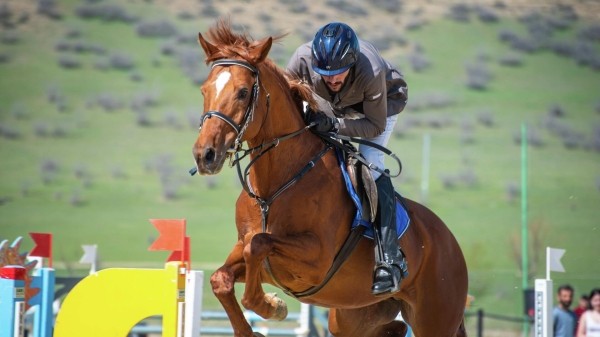 В Грузии пройдет турнир по скачкам с препятствиями В Грузии пройдет турнир по скачкам с препятствиями