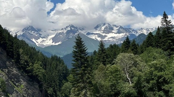 Леса и села высокогорной Рачи могут получить статус особых территорий в Грузии