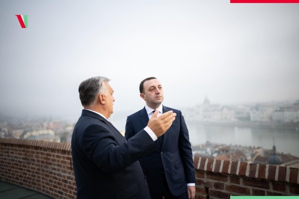 Виктор Орбан собирается посетить Грузию на следующей неделе