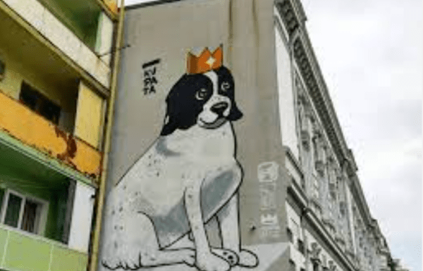 Умерла Купата – символ Батуми и самая известная собака Грузии