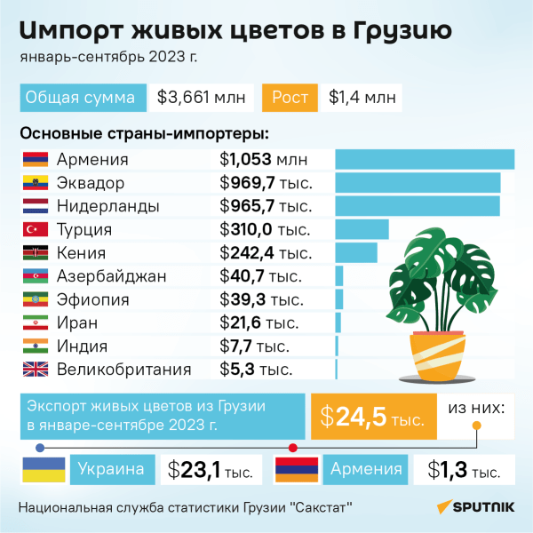 Откуда привозят цветы в Грузию?