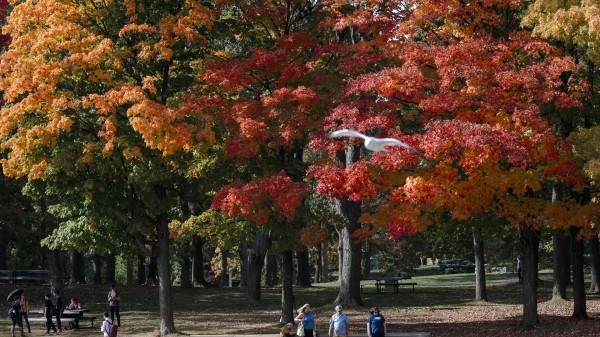 Народные приметы на Осенние кузьминки 2023: что нельзя делать 14 ноября?