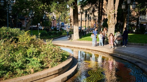 Каладзе рассказал, как 360-летние деревья помешали обустройству парка в Тбилиси 