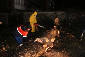 Непогода в Грузии – поваленные деревья, поврежденные крыши и сорванные концерты